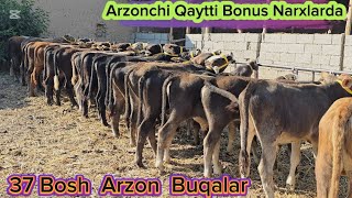 Arzonchi Abdumannop Aka Qaytti 37 Bosh Yosh Ko'chat Novvoslar 17-iyun, 2025