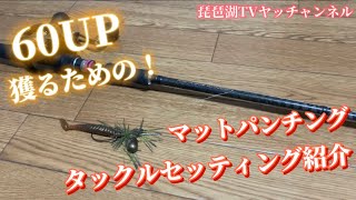 【バス釣り】60UP多数捕獲！マットパンチングのタックルセッティングを紹介します！