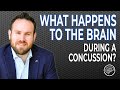 What Happens To The Brain During A Concussion?