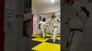 Avrupa şampiyonası Uluslararası hakem shihan İlhami KONUKCU (3)