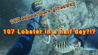 107 Lobsters in a half day trip! Commercial lobstering plus 10K subscriber giveaway announcement