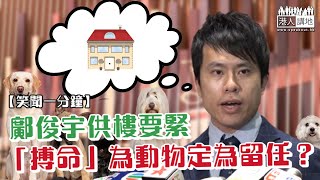 【短片】【笑聞一分鐘】鄺俊宇供樓要緊「搏命」為動物定為留任？