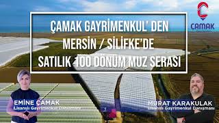 MUZ SERASI 100 DÖNÜM