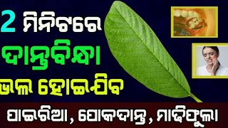 ୨ ମିନିଟରେ ଦାନ୍ତବିନ୍ଧା ଭଲ ହୋଇଯିବ, ଦାନ୍ତର ପୋକ ବାହାରିଜିବେ | Toothache Home Remedies in odia#Teethpain