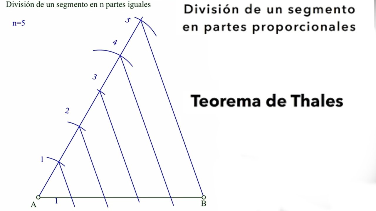 Dividir Un Segmento En Partes PROPORCIONALES | Teorema De Tales Paso A ...