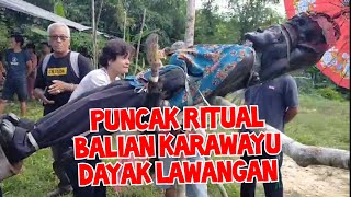 PUNCAK RITUAL BALIAN KARAWAYU DAYAK LAWANGAN