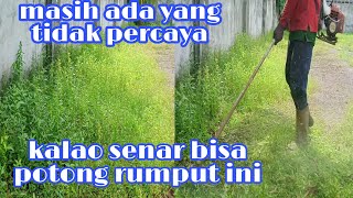 NIKMATNYA POTONG RUMPUT PAKAI SENAR UKURAN 2.2MM //nylon fishing line grass cutter