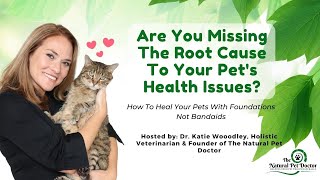 How To Find The Root Cause Of Disease In Your Dogs & Cats From A Holistic Veterinarian