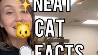 Neat Cat Facts ~ They’re all black or orange