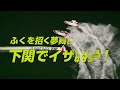 1 25 土 【準優勝戦】gⅢ長府製作所杯【ボートレース下関youtubeレースlive】