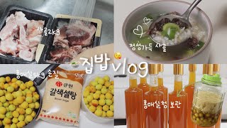 vlog 신혼부부 집밥 브이로그 😘| 2kg 사골곰탕 끓이기 🥩| 홍매실5kg 손질하고 매실청담그기 🍑| 대파손질 | 요리하는 일상 브이로그✌️