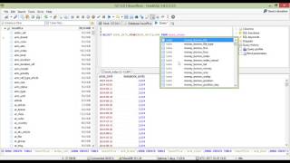 HOSOffice การเขียนคำสั่ง Query MySQL เพื่อแยกร่างวันที่ Date ออกมา