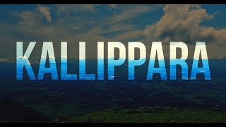 KALLIPPARA | Tourist place in Kerala | Neelakurinji | India