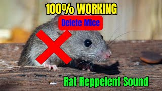 15000Hz, 17500Hz \u0026 20000Hz Ultrasonic Ultimate Extreme Mouse and Rat Repellent (11 1/2 Hours) #002