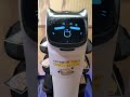 しゃぶ葉猫型ロボット