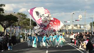 2024.黒潮よさこい祭り(シンボルロード)四街道舞謳歌