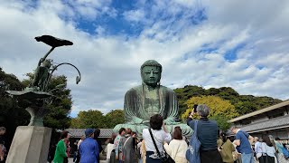 Kamakura vlog | Komachi Dori and Great Buddha