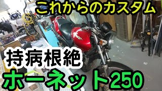 【持病根絶】ホーネット２５０　これからのカスタム予定