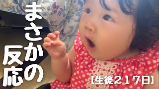 【生後217日】じぃじばぁばとの初対面👴👵どうなる？ルーキー😊