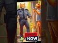 cat cop on a mission cat kitten funny cutecat