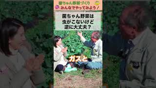 虫がこないけど逆に大丈夫？【おうちで元気な無農薬野菜を育てよう】 #shorts