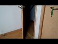 the cat which opens a door　自分でドアを開ける猫