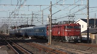 EF81ｰ81号機牽引黒磯訓練白岡駅通過