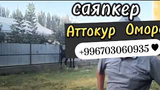 Ат таптоо курсу. Саяпкер Аттокур Оморов