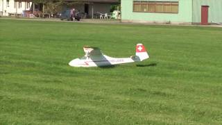 LO 100 Scale glider 1/3