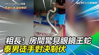 粗長！房間驚見眼鏡王蛇　泰男徒手對決制伏｜三立新聞網SETN.com