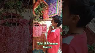 Tulsi ji Pranam Mantra #harekrishna #krishnabhakti#tulsi #bhakti