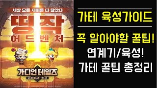 [가디언테일즈] 가디언테일즈 육성 가이드! 꼭 알아야할 꿀팁! 연계기/육성! 가테 꿀팁 총정리 GUARDIAN TALES Guide