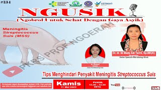 Tips Menghindari Penyakit Meningitis Streptococcus Suis