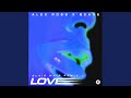 Love (Blair Muir Remix)