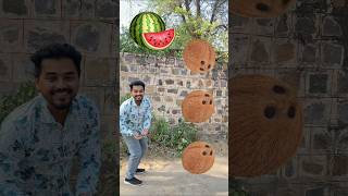 Rounding coconut to Grapes, Mango, lichi \u0026Watermelon - Fruits names magic video