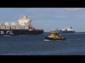 shipspotting in rotterdam the netherlands part 67 4k