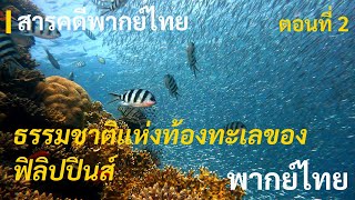 สารคดีธรรมชาติ ความงดงามแห่งท้องทะเลของฟิลิปปินส์ ตอนที่ 2 | สารคดีธรรมชาติ | สารคดีพากย์ไทย