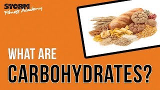 Carbohydrates | Storm Fitness Academy