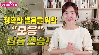 [발음 정확하기 하기] 발음 잘 하려면 모음만 따로 연습하기