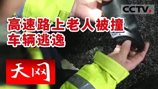 《天网》高速公路发生车祸 无牌汽车肇事逃逸 被撞老人当场死亡 | CCTV社会与法