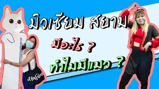 อะลองดู EP.1 | มิวเซียมสยาม \u0026 แคทโซเชียลตี้