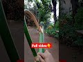 Making BOW from Bamboo 🎍 local Bamboo toygun #toygun #bamboocraft