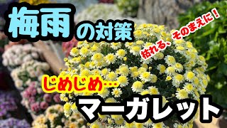 ◆あのジメジメがやって来る！困ったときの【梅雨対策】