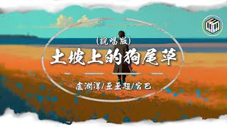 盧潤澤/歪歪超/宮巴 - 土坡上的狗尾草 (說唱版) 【Lyrics Video】「你也搶過吃剩的骨頭 你也睡過下雨的街頭 我還沒能給你好生活 哎呀你咋走得我莫法留」♪