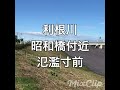 利根川 昭和橋付近 氾濫寸前 台風