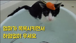 정식이의200번째 이야기~정미가 병원 다녀왔습니다~