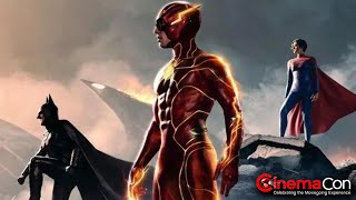 The Flash Movie Review