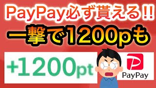 〇〇でPayPayポイント必ず貰える‼︎＆一撃1200p貰える方法も！