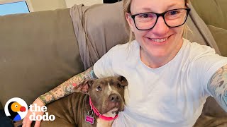 Skinny Pittie Is The Happiest Little Hippo Now | The Dodo