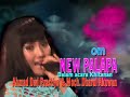 Doi - Novi Andarista - New Pallapa